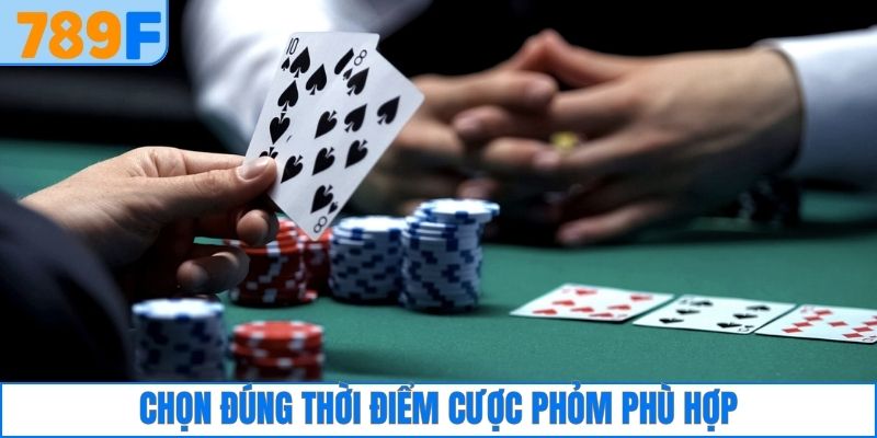 Cách Đánh Phỏm Rắn Và Bí Quyết Bách Thắng Cho Người Mới 4 Chọn đúng thời điểm cược Phỏm phù hợp