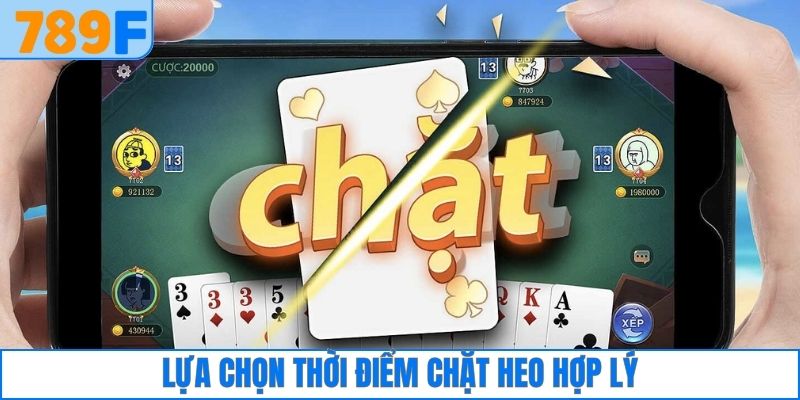 Cách Đánh Phỏm Rắn Và Bí Quyết Bách Thắng Cho Người Mới 5 Lựa chọn thời điểm chặt heo hợp lý