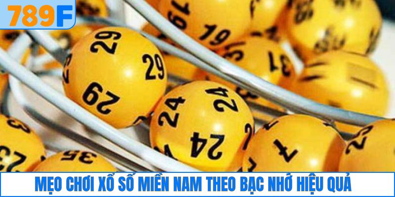 Nằm mơ thấy khoai - Dự báo điềm gì và Đánh con số nào? 3 Mẹo bắt số theo bạc nhớ hiệu quả