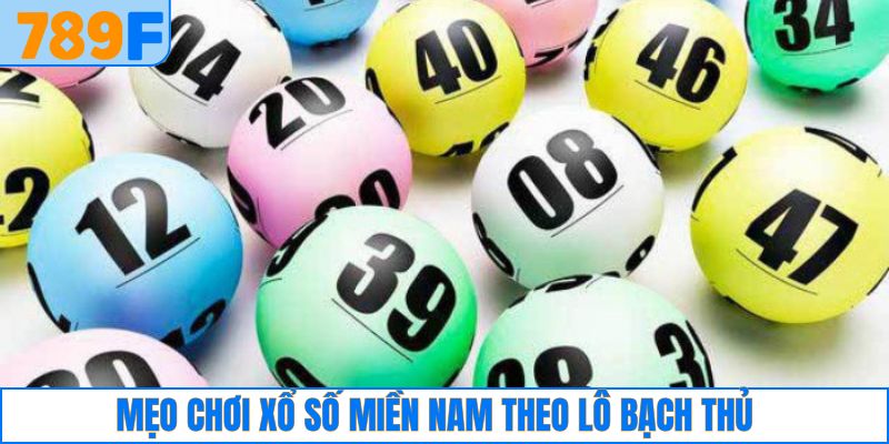 Nằm mơ thấy khoai - Dự báo điềm gì và Đánh con số nào? 4 Mẹo chơi xổ số miền Bắc bất bại qua lô bạch thủ