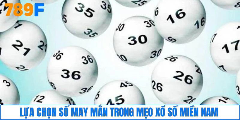 Nằm mơ thấy khoai - Dự báo điềm gì và Đánh con số nào? 3 Mẹo chơi xổ số miền Nam là chọn con số may mắn