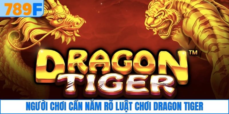 Cách Đánh Phỏm Rắn Và Bí Quyết Bách Thắng Cho Người Mới 2 Người chơi cần nắm rõ luật chơi Dragon Tiger