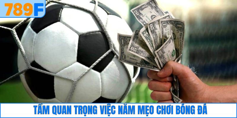 Chelsea Của Nước Nào? Lịch Sử Và Thành Tựu Của Đội Bóng 2 Tầm quan trọng về việc nắm rõ mẹo chơi bóng đá hiệu quả