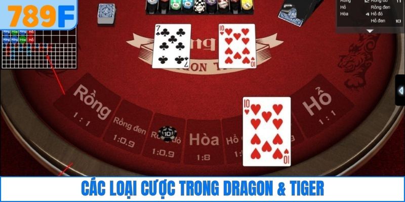 Cách Đánh Phỏm Rắn Và Bí Quyết Bách Thắng Cho Người Mới 4 Các loại cược trong bộ môn Dragon & Tiger