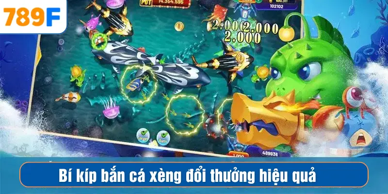 Mẹo Chơi Bắn Cá Vàng - Chiến Thuật Săn Thưởng Hiệu Quả 4 Bí kíp bắn cá xèng đổi thưởng hiệu quả