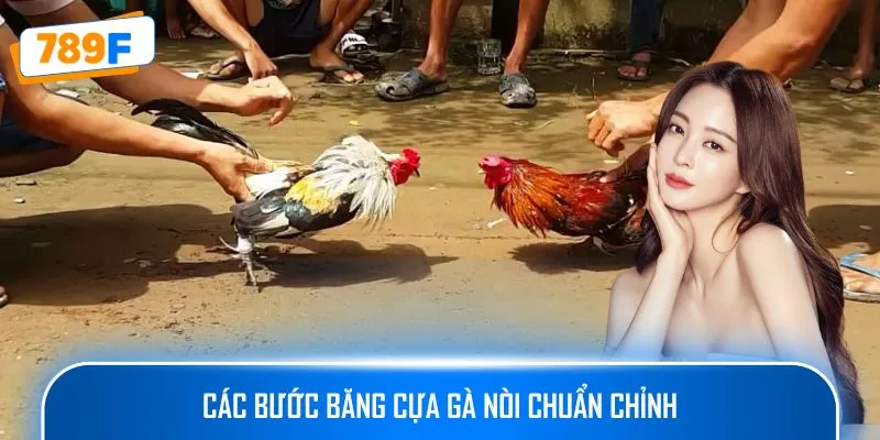 Các Giống Gà Peru Chiến Mạnh, Phù Hợp Thi Đấu Lâu Dài 4 Các bước băng cựa gà nòi chuẩn chỉnh