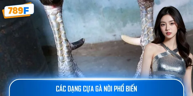 Các Giống Gà Peru Chiến Mạnh, Phù Hợp Thi Đấu Lâu Dài 3 Các dạng cựa gà nòi phổ biến