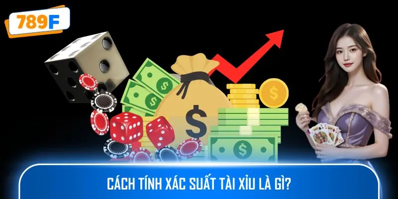Phần Mềm Dự Đoán Bầu Cua - Giải Pháp Hỗ Trợ Người Chơi 2 Cách tính xác suất tài xỉu là gì?