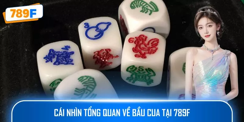 Quy Luật Bầu Cua - Bí Quyết Tăng Tỉ Lệ Thắng Trong Trò Chơi 2 Cái nhìn tổng quan về bầu cua tại 789F