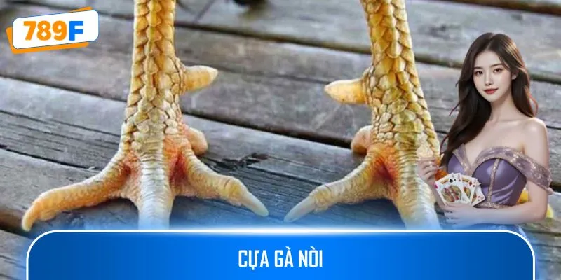 Cựa Gà Nòi - Các Loại Cựa Và Ứng Dụng Trong Đá Gà Online