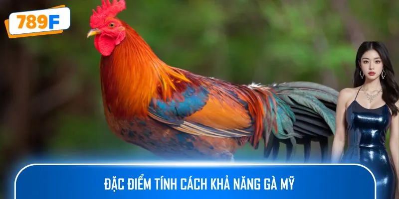 Cách Nuôi Gà Peru – Hướng Dẫn Tạo Ra Những Chiến Kê Xuất Sắc 2 Đặc điểm tính cách khả năng gà Mỹ