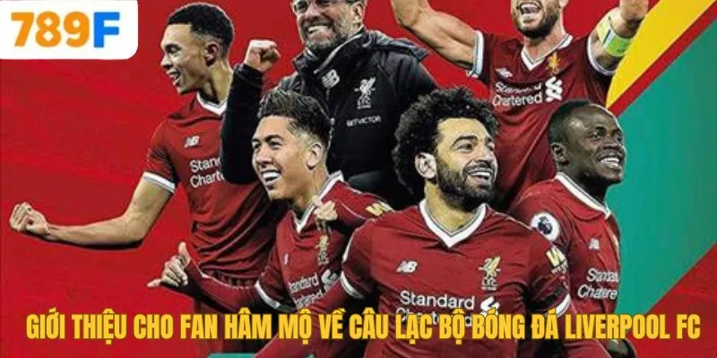 Chelsea Của Nước Nào? Lịch Sử Và Thành Tựu Của Đội Bóng 2 Giới thiệu cho fan hâm mộ về câu lạc bộ bóng đá Liverpool FC