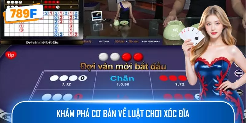 Quy Luật Bầu Cua - Bí Quyết Tăng Tỉ Lệ Thắng Trong Trò Chơi 2 Khám phá cơ bản về luật chơi xóc đĩa