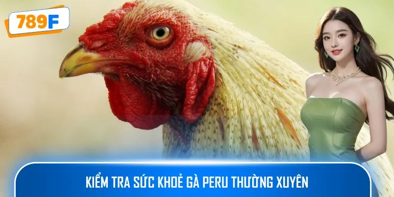 Các Giống Gà Peru Chiến Mạnh, Phù Hợp Thi Đấu Lâu Dài 4 Kiểm tra sức khoẻ gà Peru thường xuyên