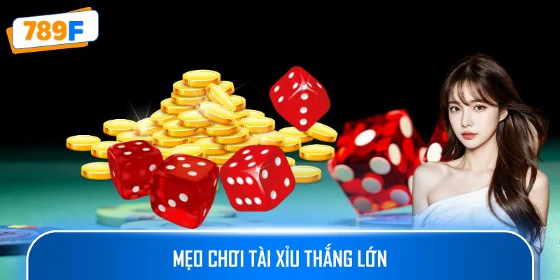 Phần Mềm Dự Đoán Bầu Cua - Giải Pháp Hỗ Trợ Người Chơi 4 Mẹo chơi tài xỉu thắng lớn