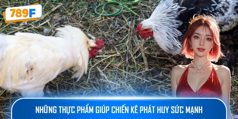 Các Giống Gà Peru Chiến Mạnh, Phù Hợp Thi Đấu Lâu Dài 4 Những thực phẩm giúp chiến kê phát huy sức mạnh