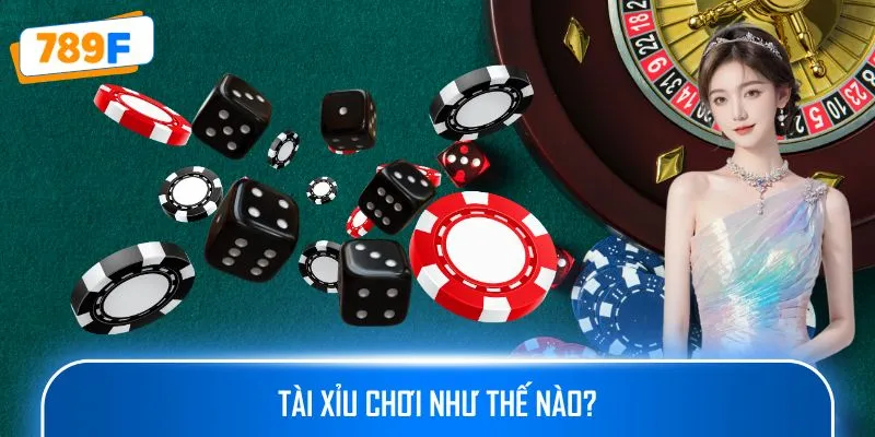 Phần Mềm Dự Đoán Bầu Cua - Giải Pháp Hỗ Trợ Người Chơi 2 Tài xỉu chơi như thế nào?