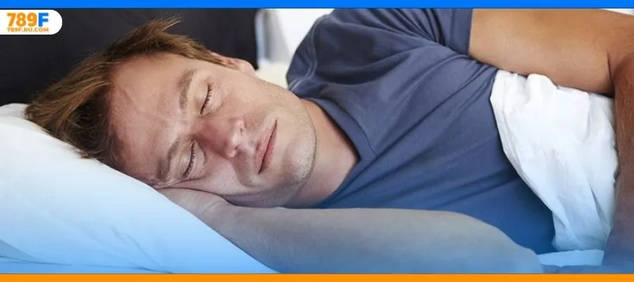 Thấy hổ trắng trong mơ: Điềm báo linh thiêng và gợi ý con số 2 Ý nghĩa ẩn sau giấc mơ thấy 2 con mèo