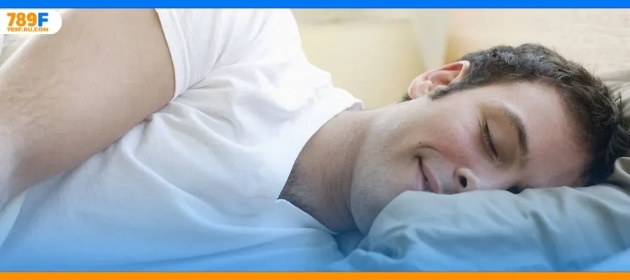 Thấy hổ trắng trong mơ: Điềm báo linh thiêng và gợi ý con số 4 Con số cần đề mắt tới khi mơ thấy con voi